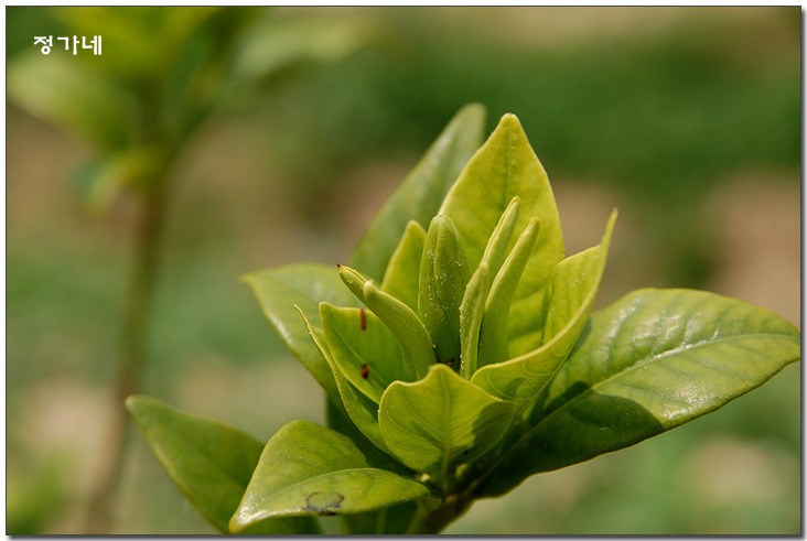 �̹����� Ŭ���ϸ� ������ ���� �� �ֽ��ϴ�.