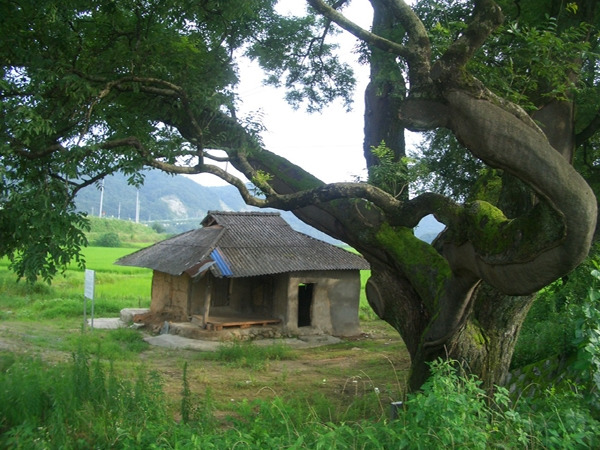 주막집 이미지