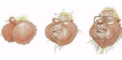 아라선 이미지