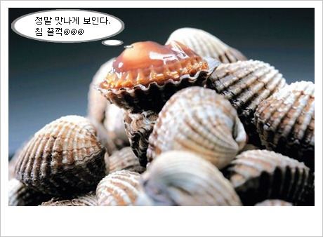 벌교꼬막 이미지