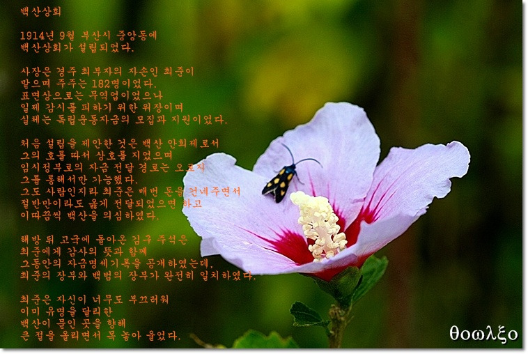 백산상회 이미지