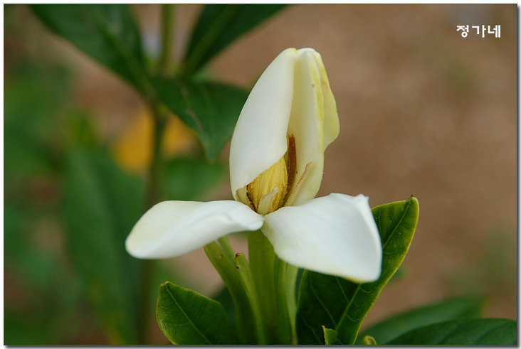 �̹����� Ŭ���ϸ� ������ ���� �� �ֽ��ϴ�.