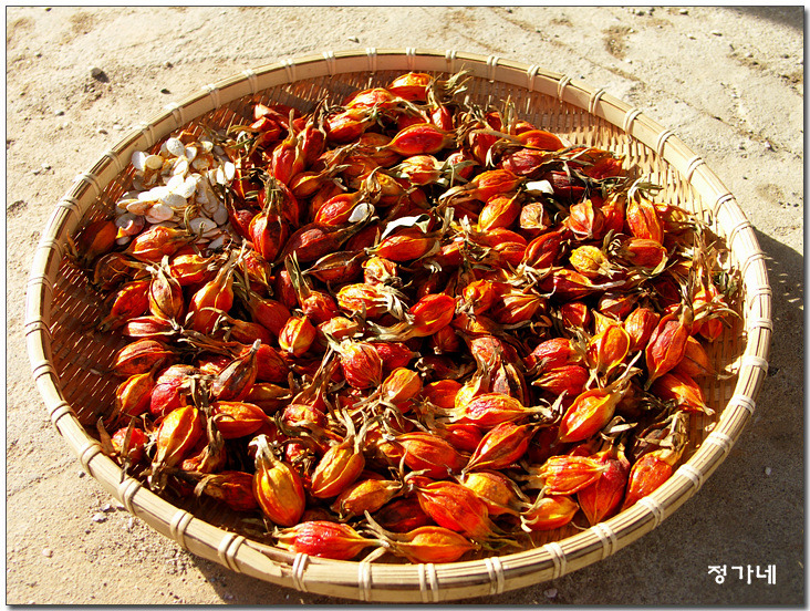 �̹����� Ŭ���ϸ� ������ ���� �� �ֽ��ϴ�.