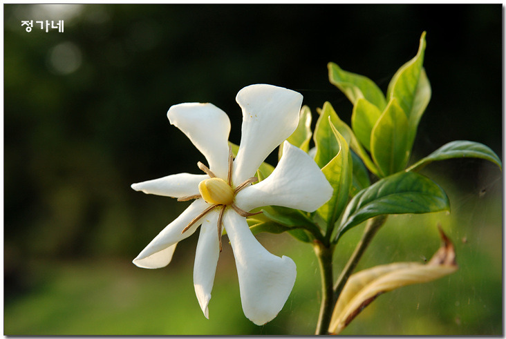 �̹����� Ŭ���ϸ� ������ ���� �� �ֽ��ϴ�.