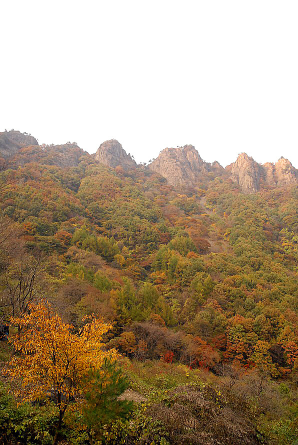 구봉산 이미지