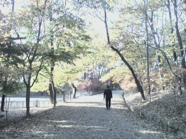 삼천궁녀 이미지