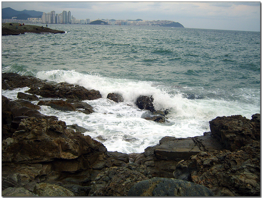 (주)푸른바다 이미지