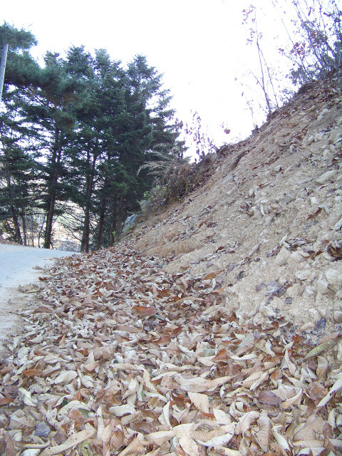 화야산펜션 이미지