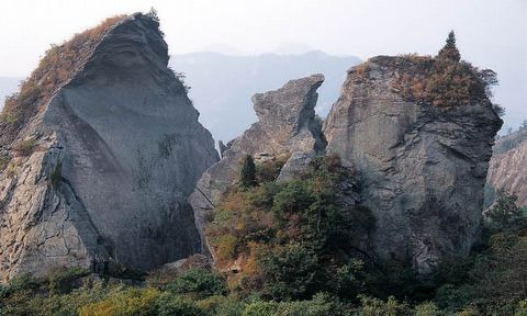 엘림주유소 이미지