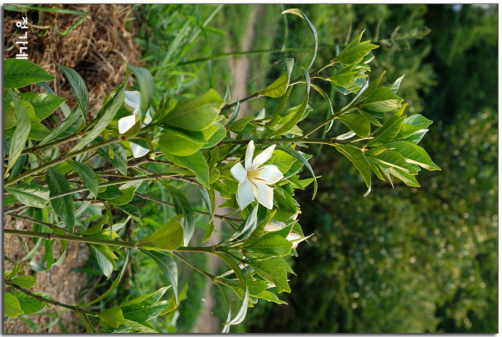 �̹����� Ŭ���ϸ� ������ ���� �� �ֽ��ϴ�.