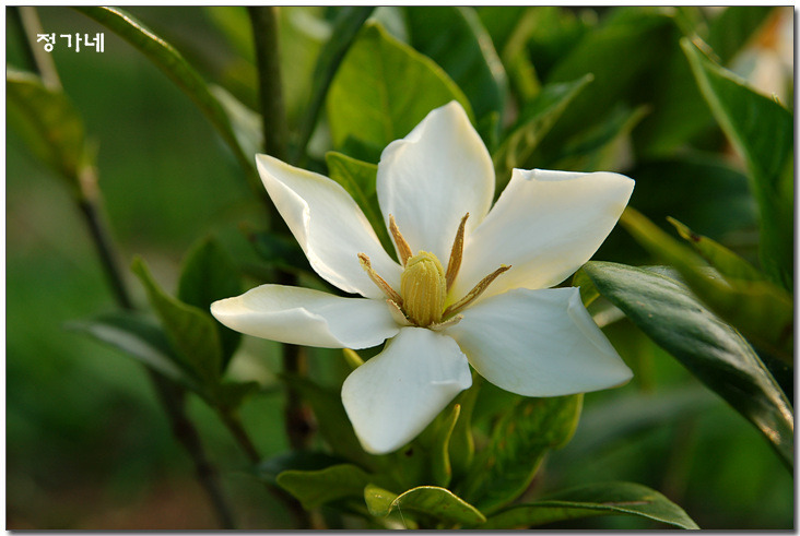 �̹����� Ŭ���ϸ� ������ ���� �� �ֽ��ϴ�.