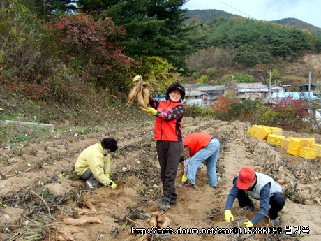 무지개영농조합법인 이미지