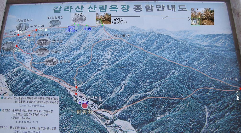 대관령양푼이동태찌개찜 이미지